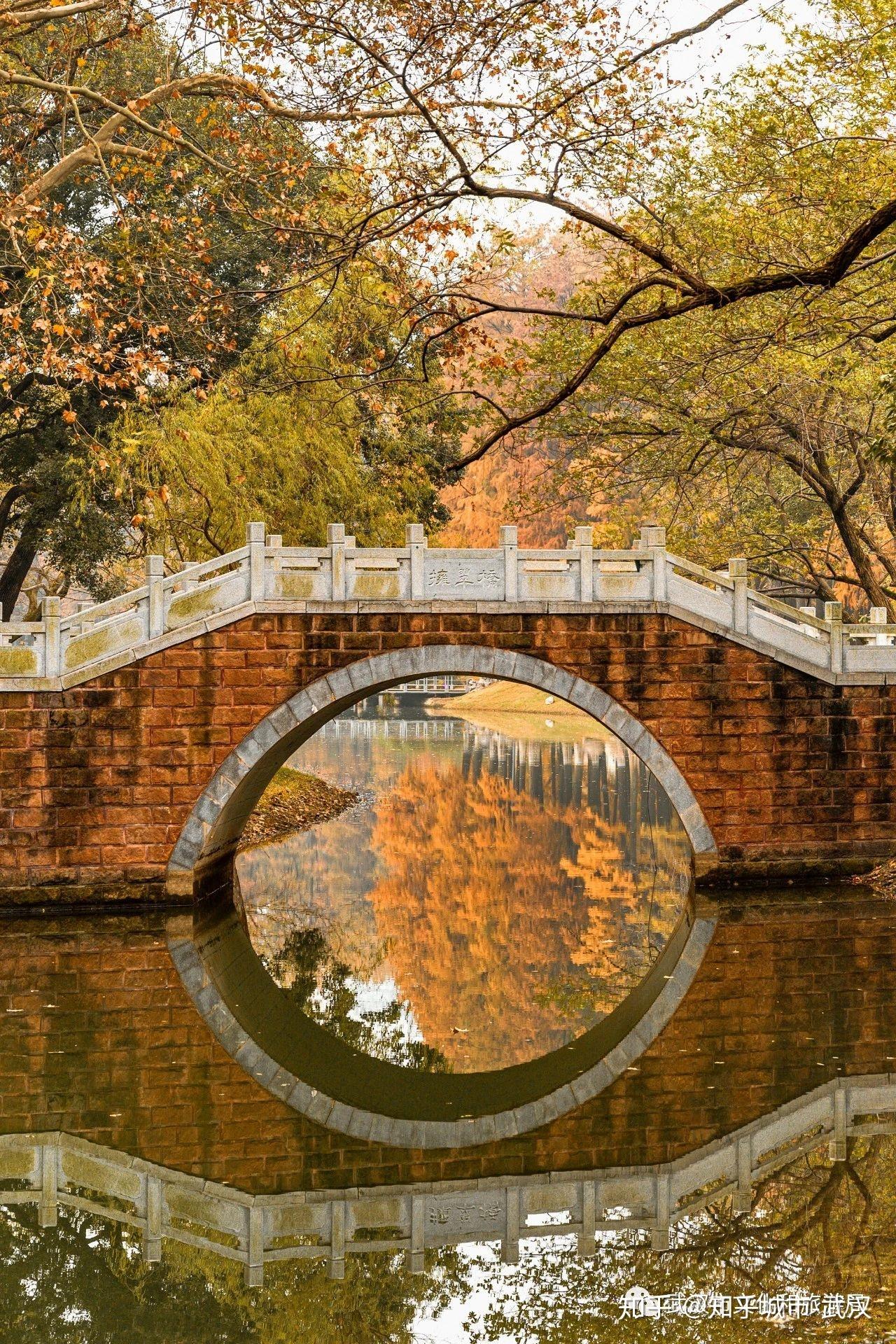 冬天的武汉现在只差一场雪20201210武汉早报