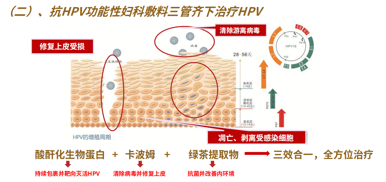 風裡希降低hpv病毒載量遠離宮頸病變