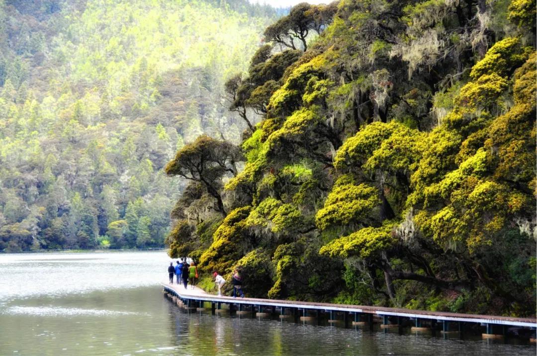 盘点司藤取景地!神仙地方今年一定能火!