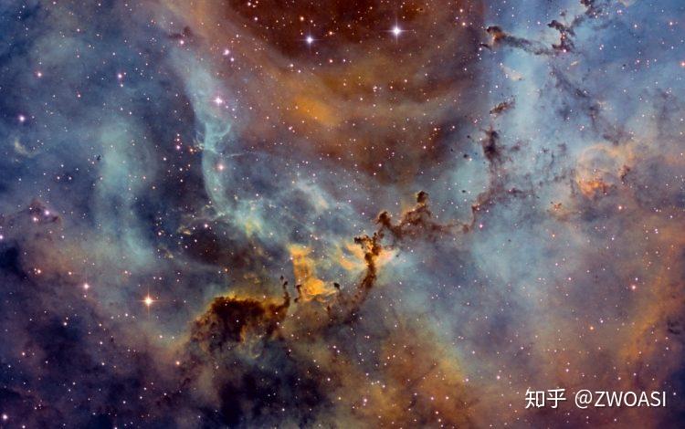 玫瑰吃豆小哑铃还有我的1600