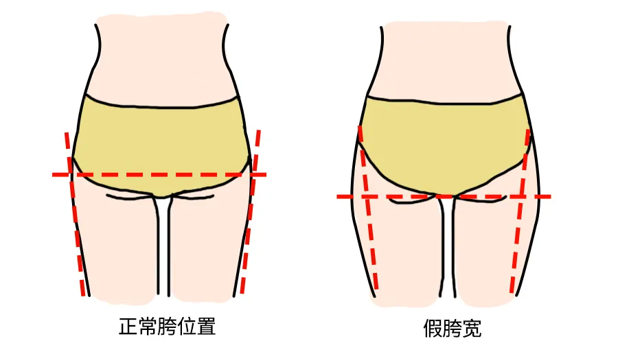 小胯是哪个部位图片