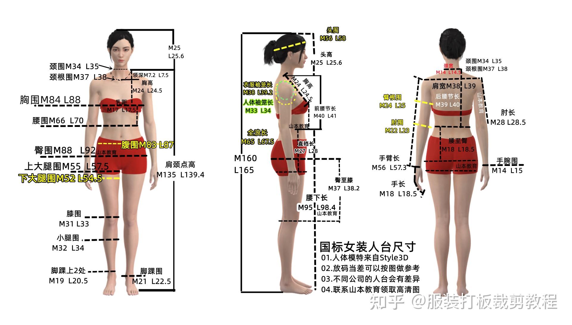 男装女装模特尺寸表.童装欧美外贸公仔尺码表