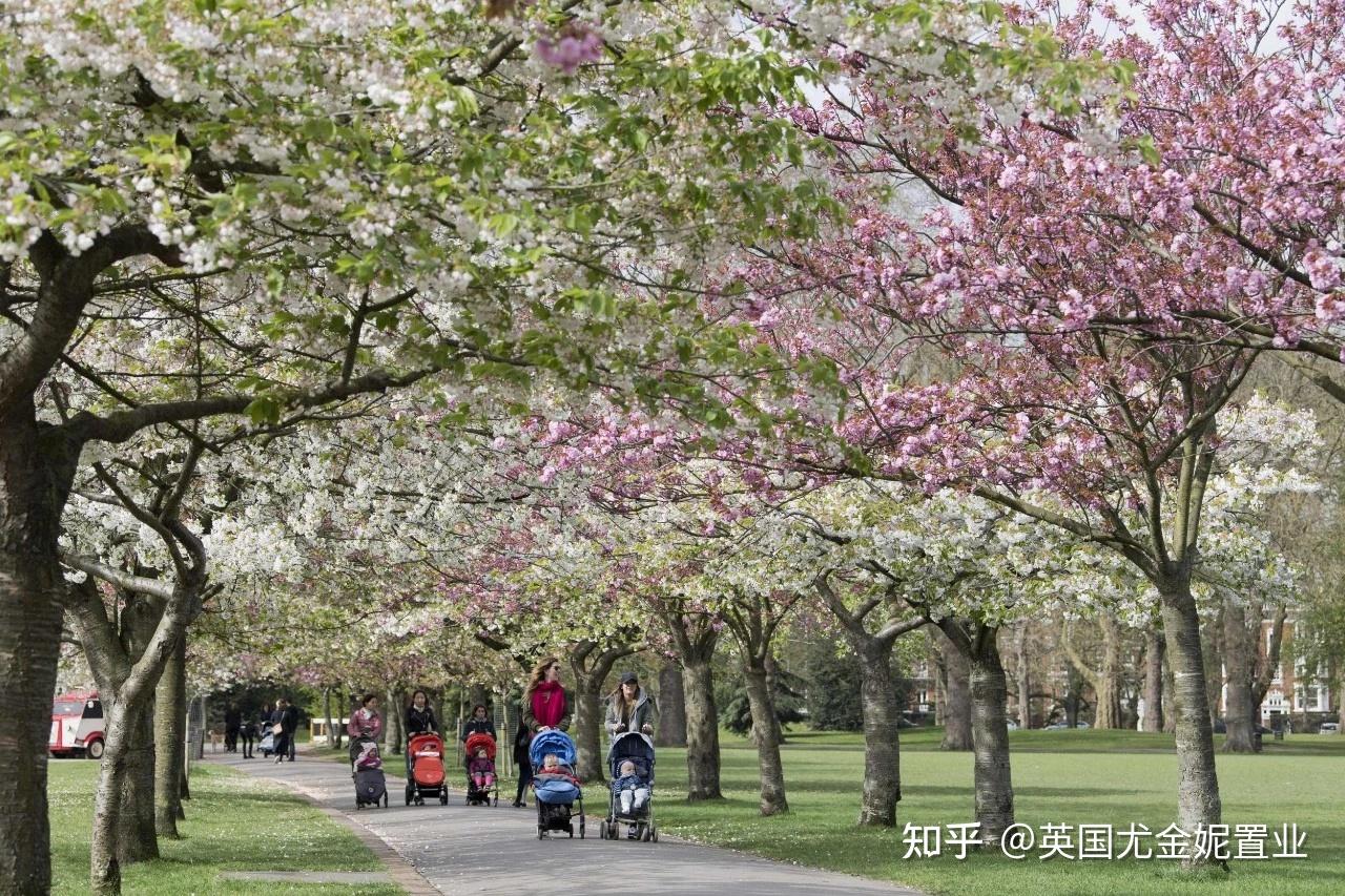 princeofwalesdrive伦敦一区威尔士亲王府毗邻巴西特公园让孩子和王子