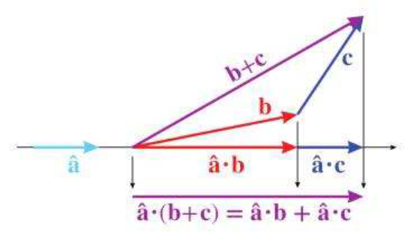 图形学数学基础——向量Vectors - 知乎