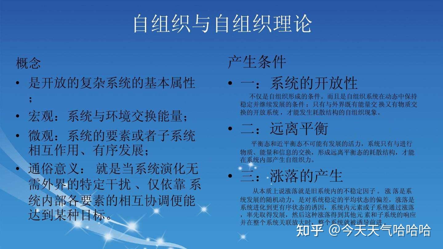 自组织理论概览