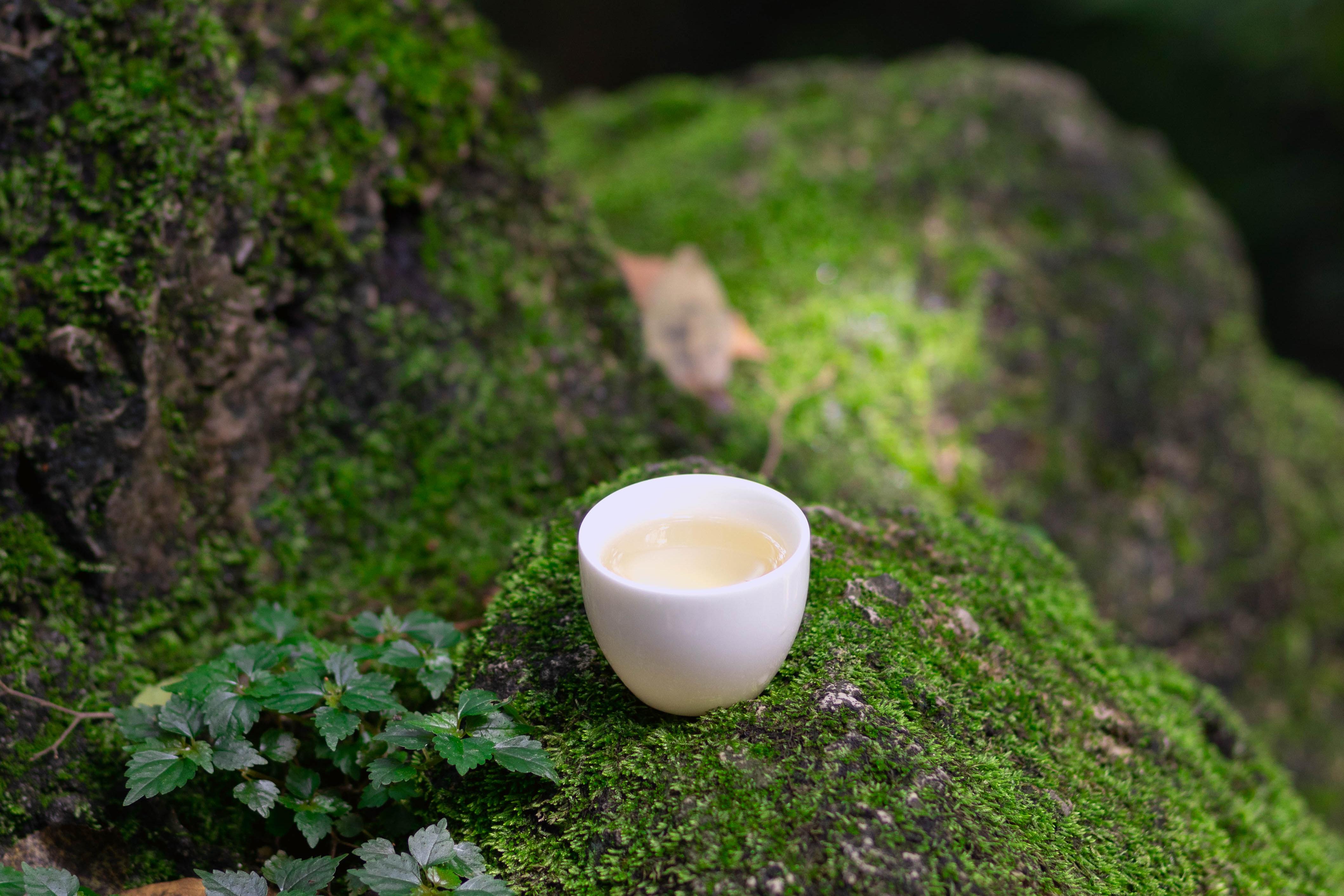 如果要你推荐一个关于泡茶的神奇,你会选择什么?