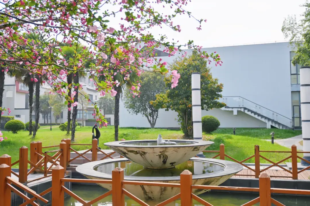 美国高中生组团打卡上海美达菲学校!感受神秘的东方力量!