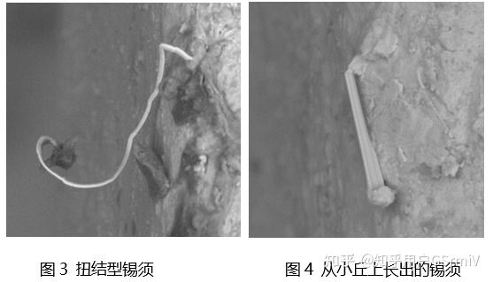 集成电路锡须的生长机理、危害及检测 - 知乎