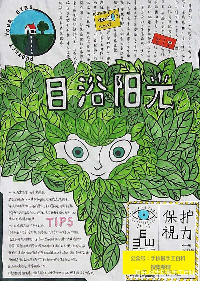 爱眼护眼手抄报