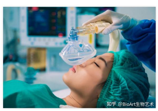 Current Biology丨黄志力/李文献合作揭示全身麻醉作用新机制 - 知乎