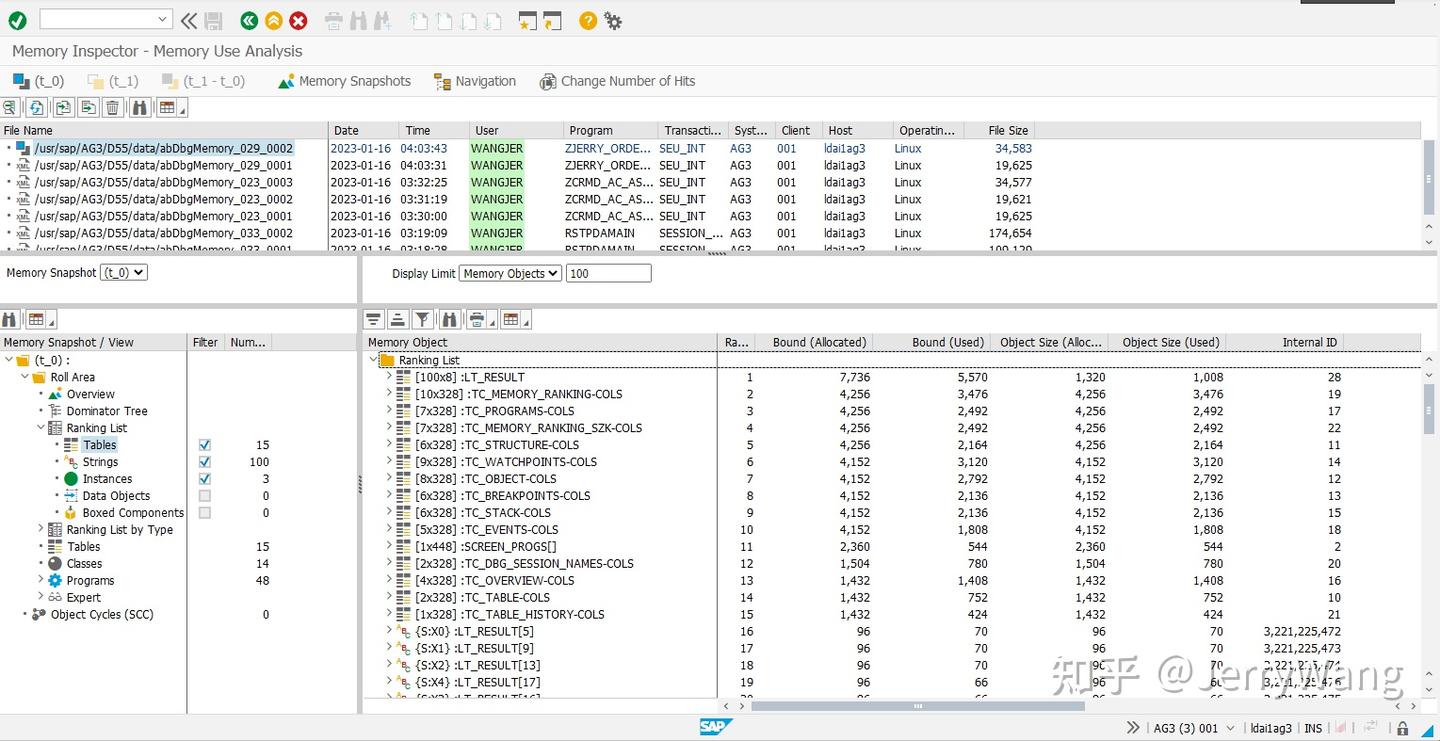 使用 SAP ABAP Memory Inspector 对应用程序消耗内存进行检测时常犯的错误试读版 - 知乎