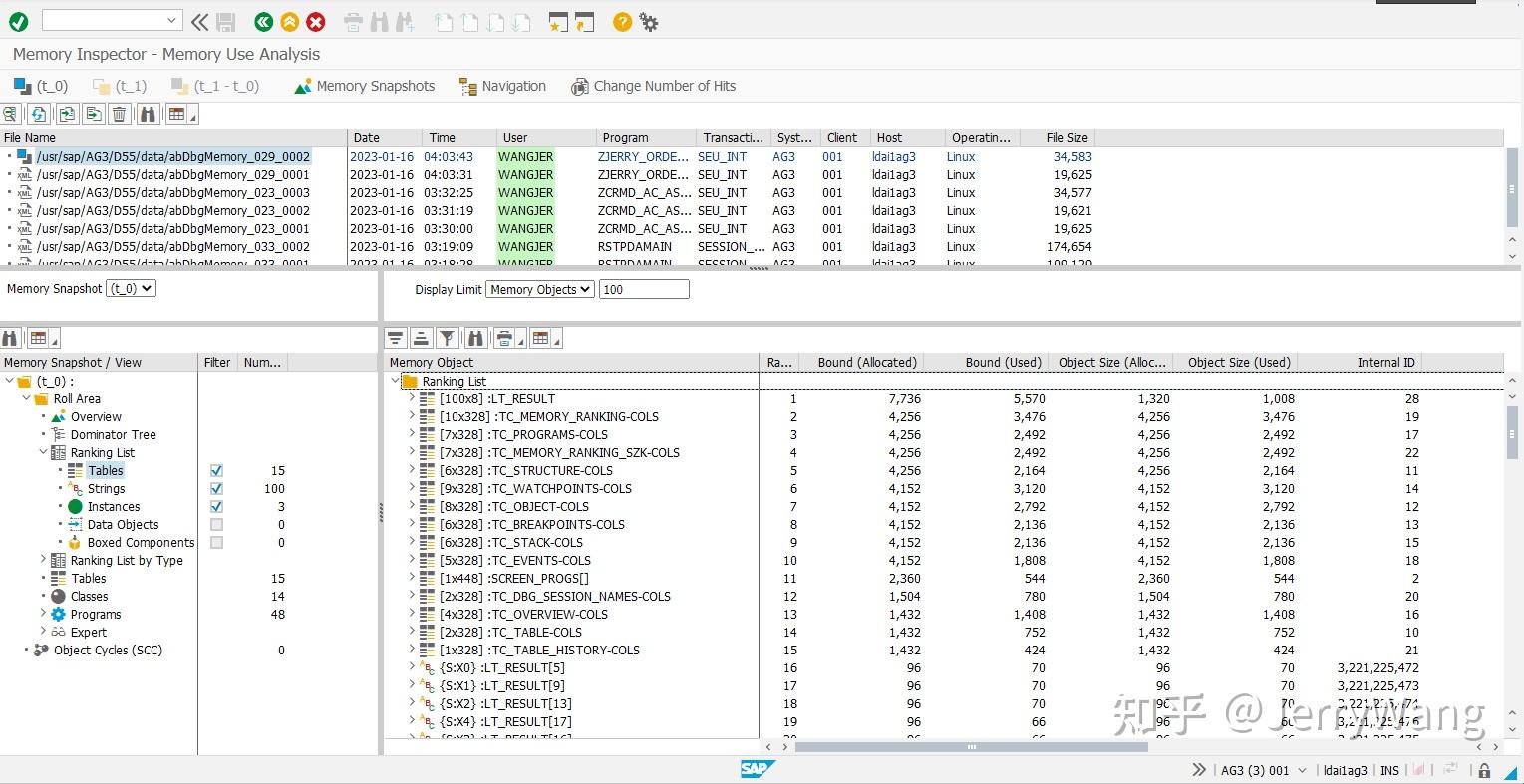 使用 SAP ABAP Memory Inspector 对应用程序消耗内存进行检测时常犯的错误试读版 - 知乎