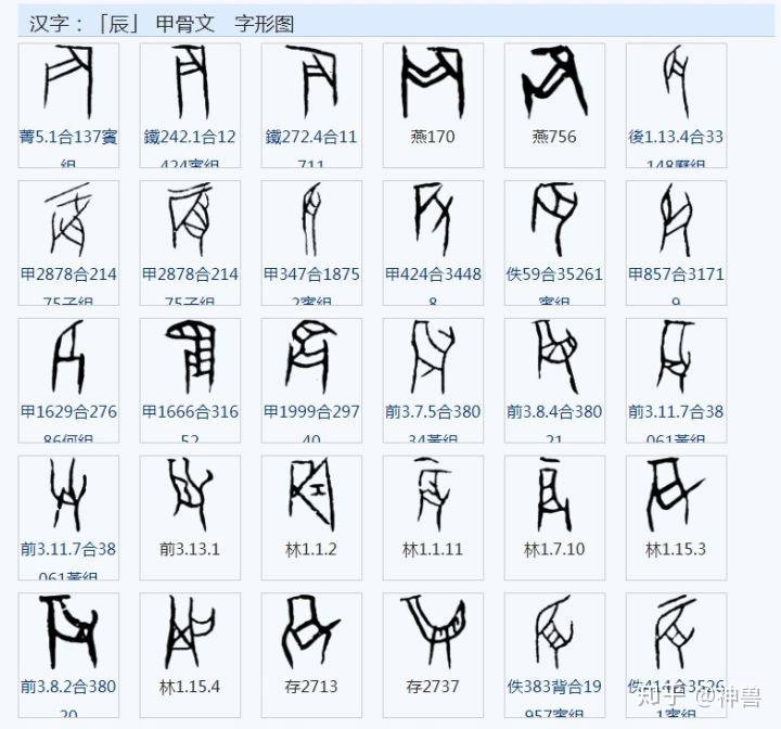 辰●"辰"字甲骨文太多,只截取部分甲骨文字,如图:育毓同源,甲骨文就是