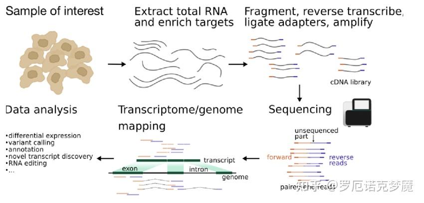 Rna Seq可视化 1 ——如何绘制美观的火山图（附r代码） 知乎