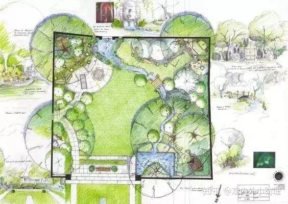 专题解析植物配置太普通帮你轻松解决景观快题中的植物配置问题