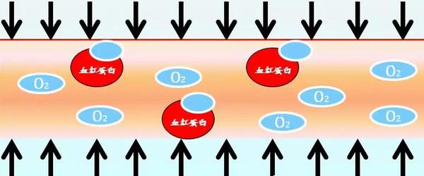 高压氧原理之增加氧的弥散率和有效弥散距离 - 知乎
