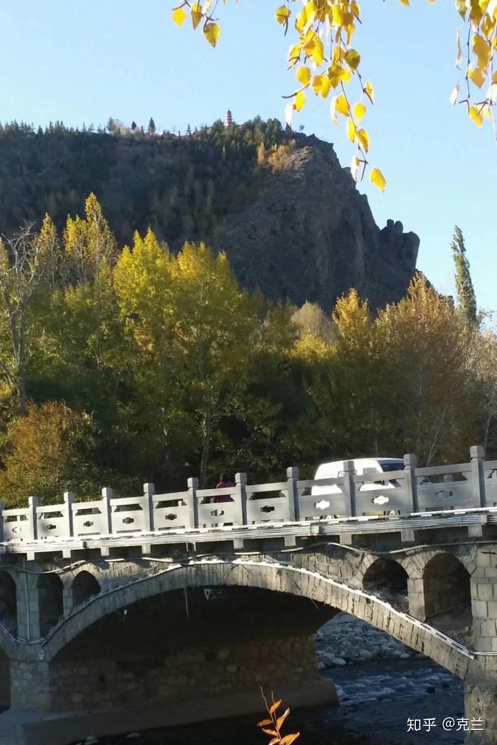 千姿百态的骆驼峰