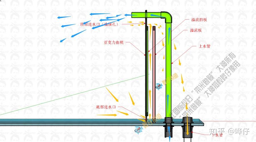 直角溢流比三重溢流好这个观赏鱼问题本身就不该是问题