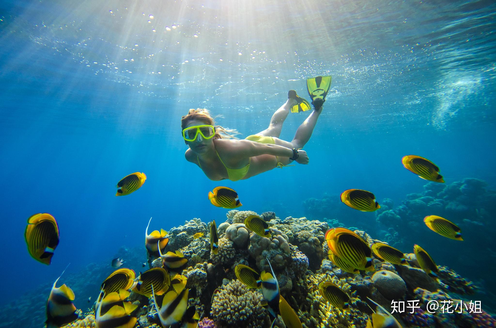 休闲潜水可分为浮潜和水肺潜水:浮潜是在潜水者能屏息的时间里潜泳