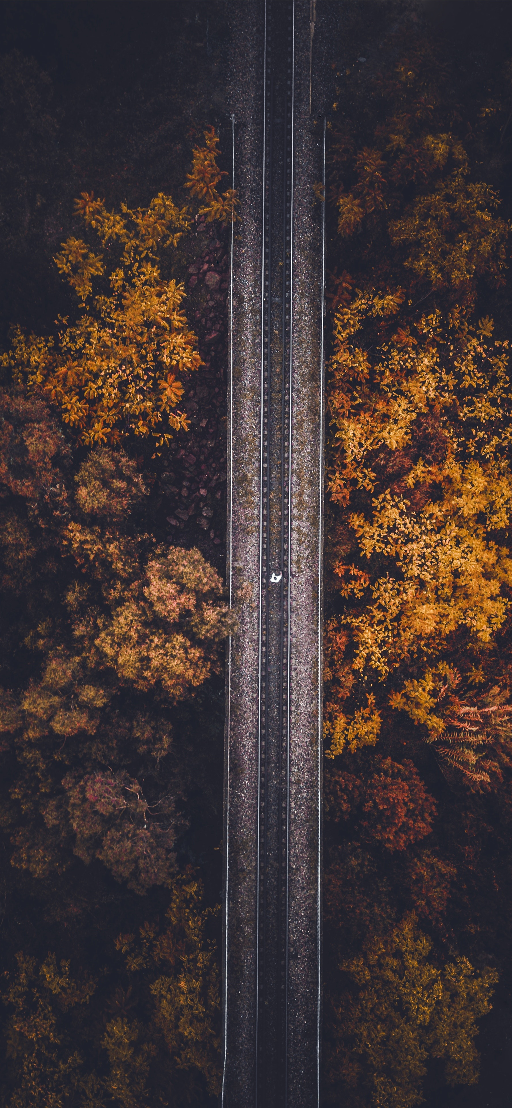 有哪些适合华为p30/p30 pro的壁纸? - 知乎