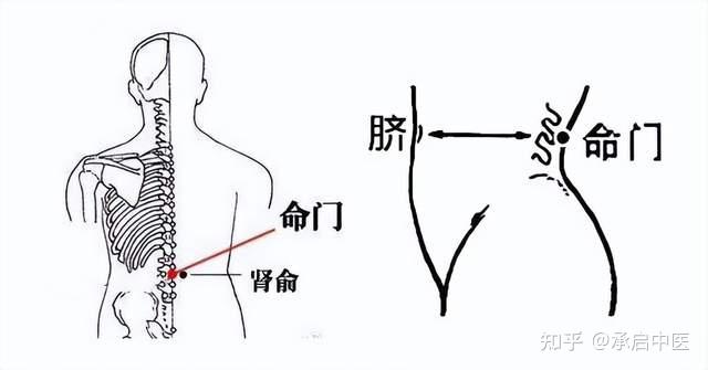 霜降后,借天势收阳气,体虚的人别错过补正气和养肾的好时机 - 知乎