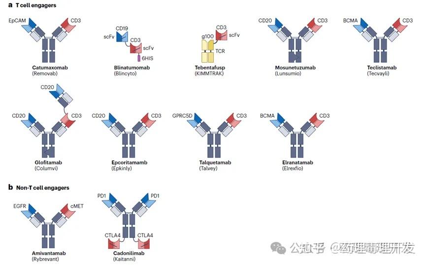 Nature：系统盘点肿瘤治疗双抗的现在和未来 - 知乎