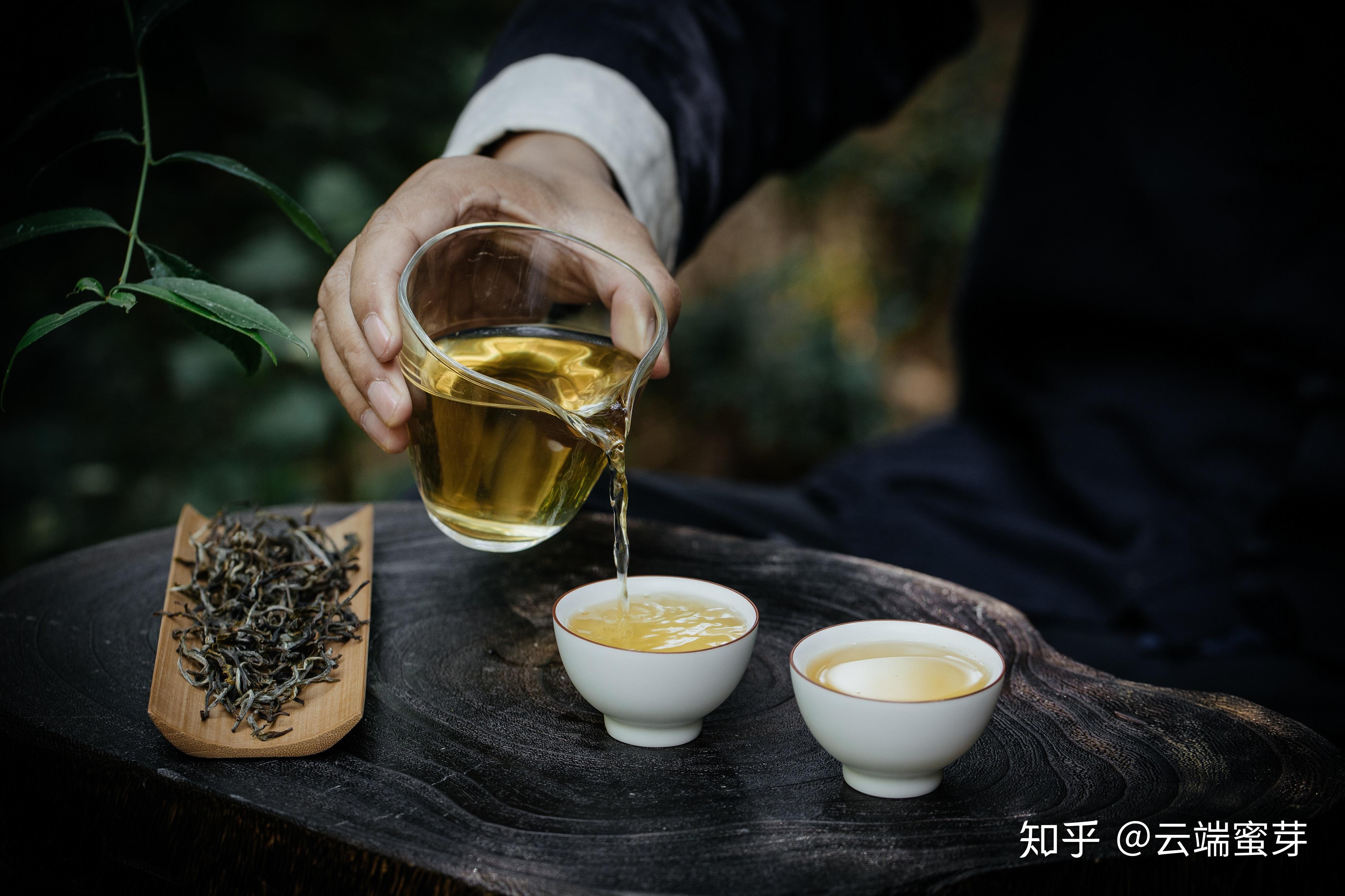 在一壶蜜芽茶香中品味珍惜