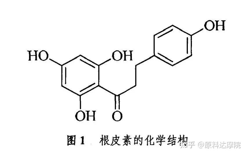 蒲公英根的营养价值和药用功效_蒲公英根的功效与作用_蒲公英根的药用价值和功效