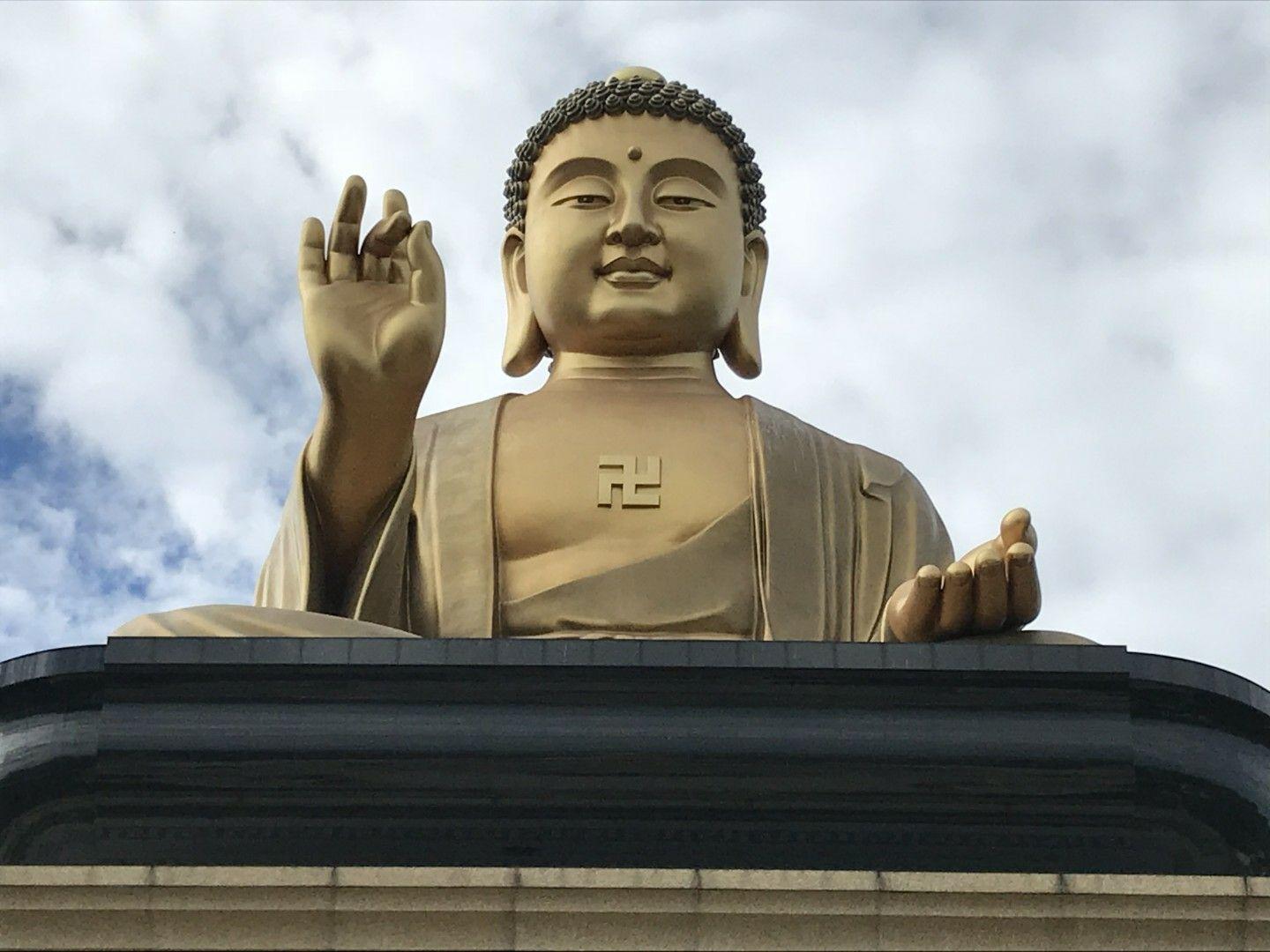 如果再回到从前