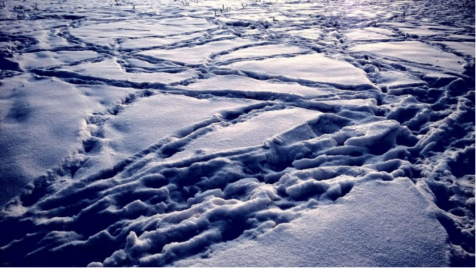 2020年夏季炎热冬季严寒,2021年将重蹈覆辙,冷冬预警已经出现!