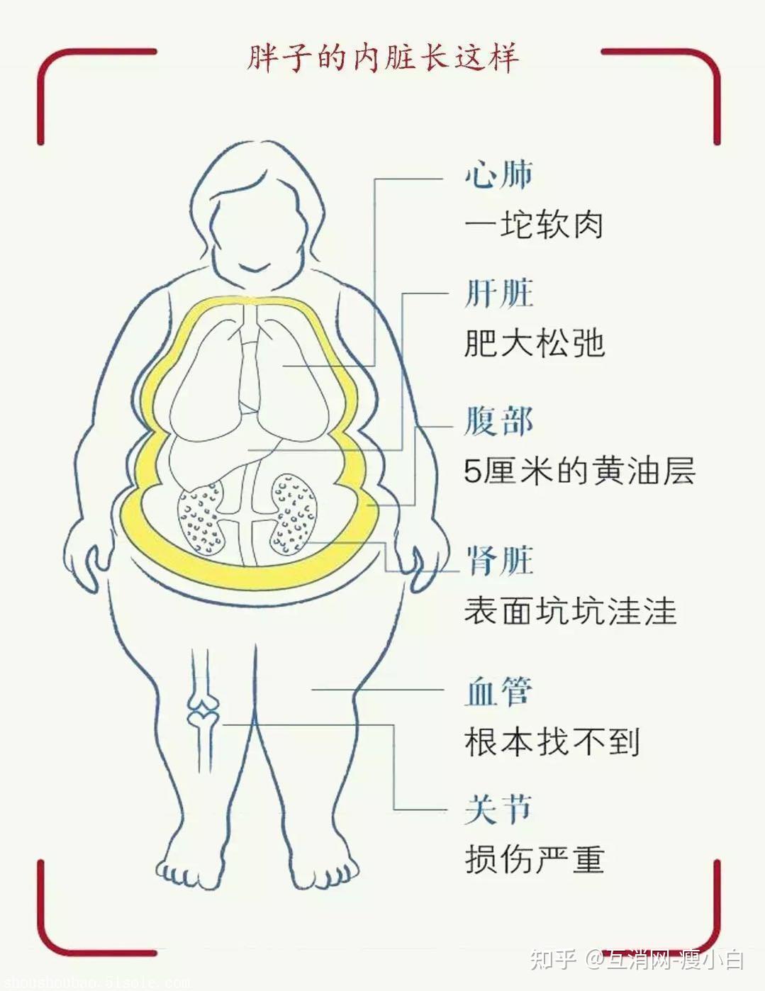 肥胖的十大危害