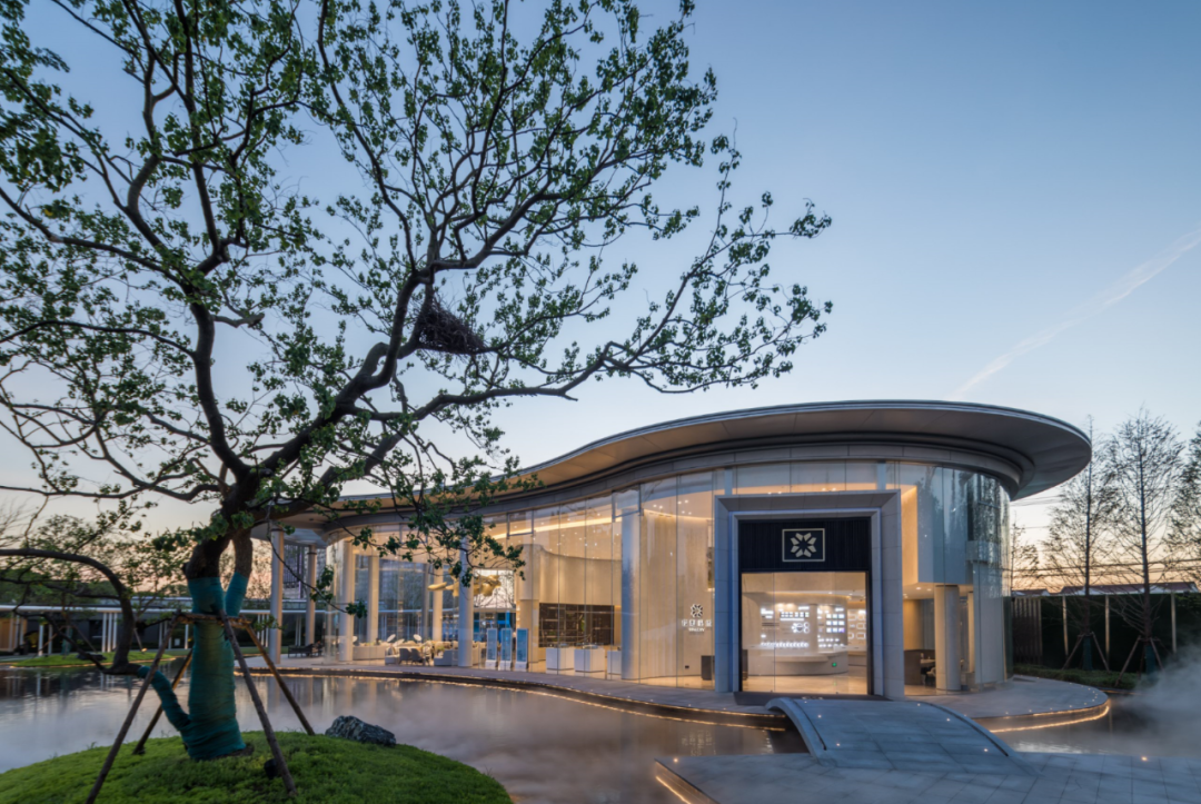 教你400多万上车大虹桥!