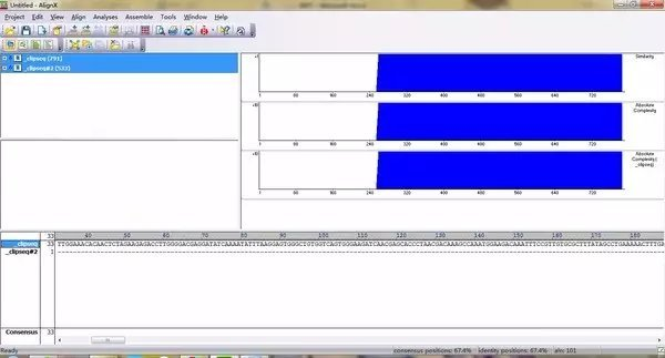 Vector Nti Software 分子生物学常用软件 - 知乎