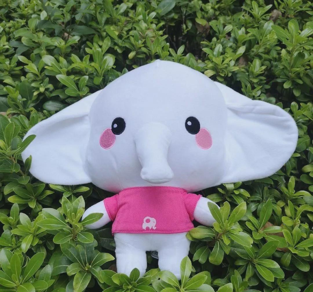 坑到了谁云南信托与小象优品合作被责令整改