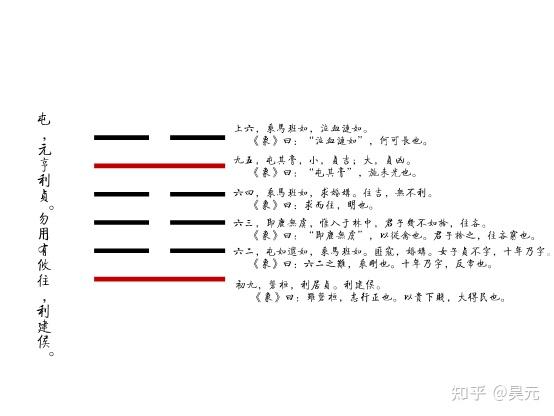 屯卦孝道卦辞彖辞解析