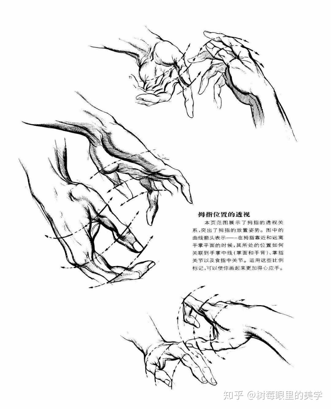 速写不会画手怎么办