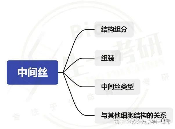 细胞生物学思维导图-细胞骨架(微管、中间丝) - 知乎