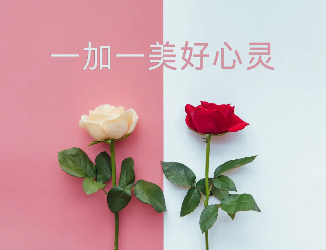 一加一美好心灵从这六件小事开始