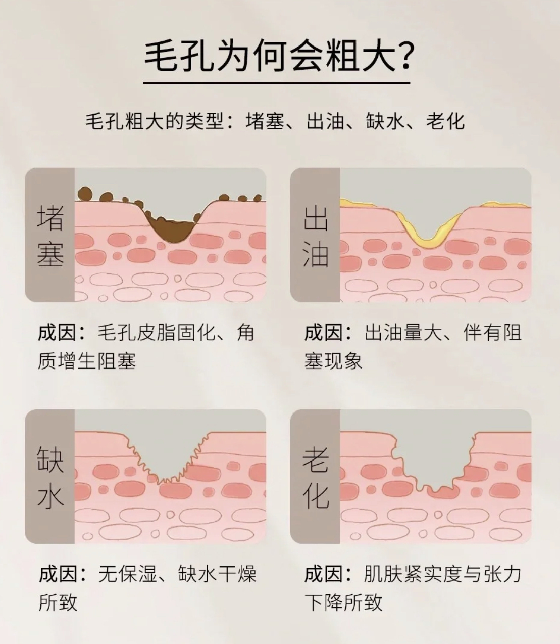 认识毛孔类型|不同类型的毛孔问题如果解决 - 知乎
