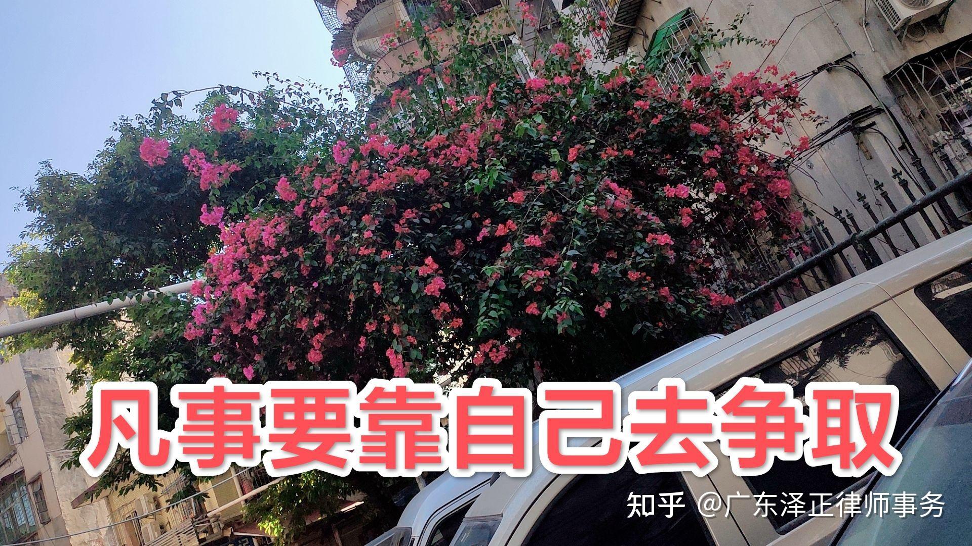 凡事都要靠自己去争取