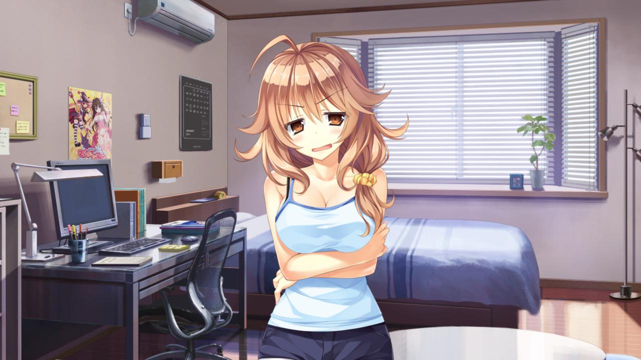 galgame推荐人物有点多primalhearts