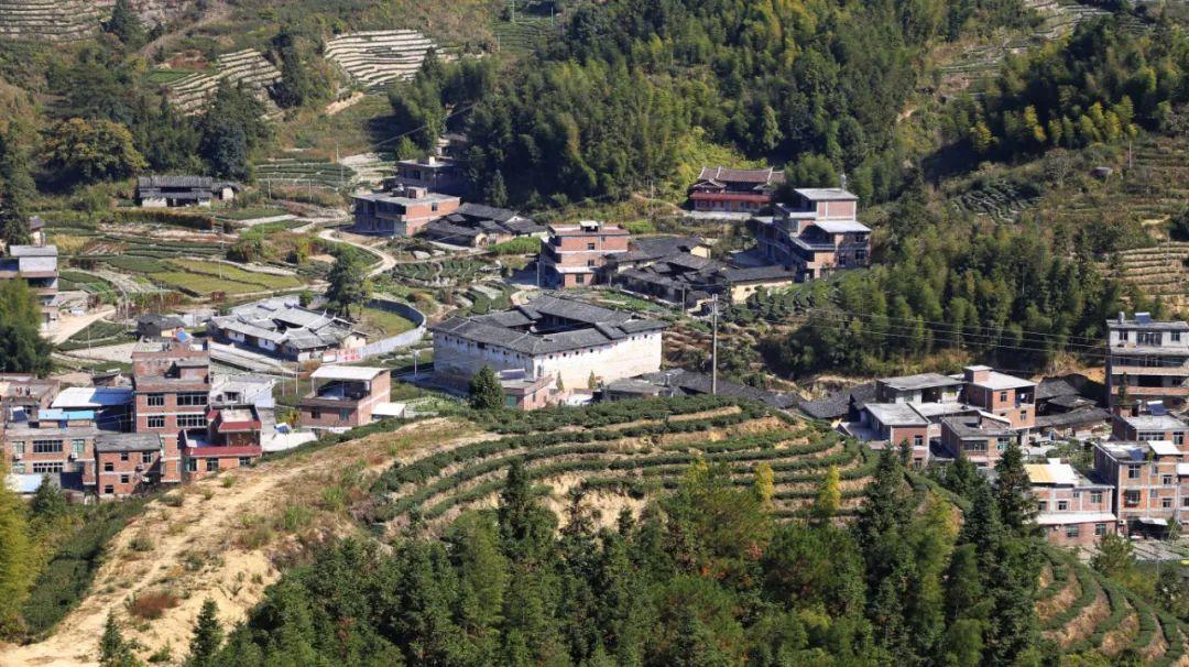 中国茶都——安溪茶旅明星城镇指南 - 知乎