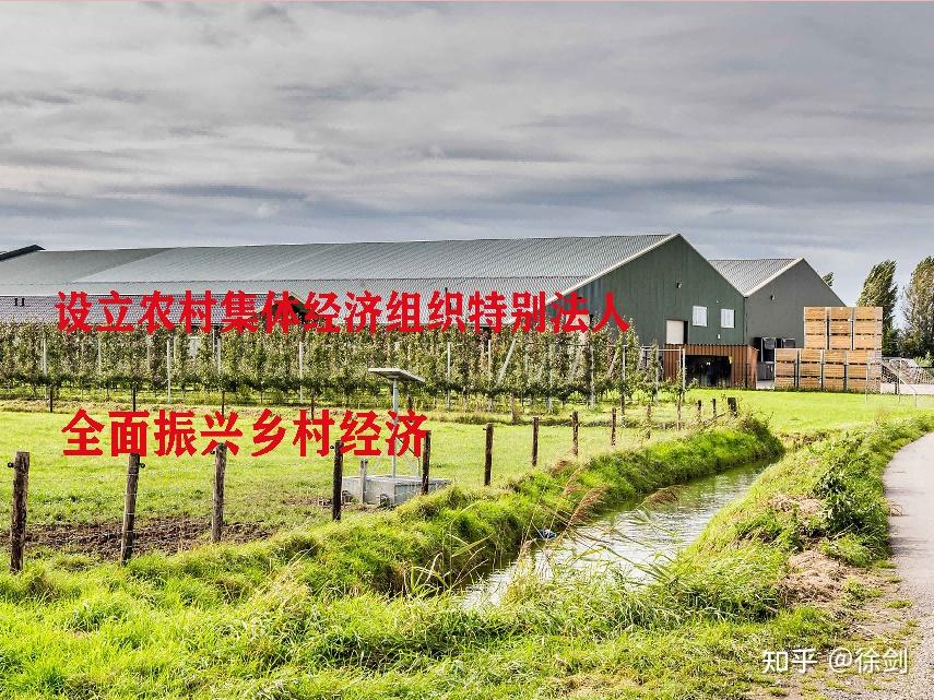 设立农村集体经济组织特别法人,全面振兴乡村经济