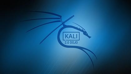 kali linux 的安装