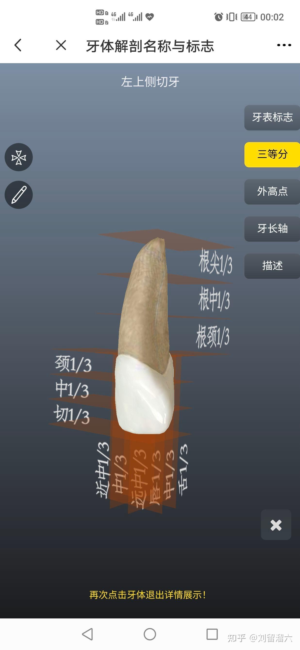 口腔解剖入门级(自己学习)牙体解剖 - 知乎