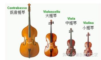 音乐课用的乐器有哪些 v2-40cd939bcbf4b948e8b0e3f0ee5cd55b_b.jpg
