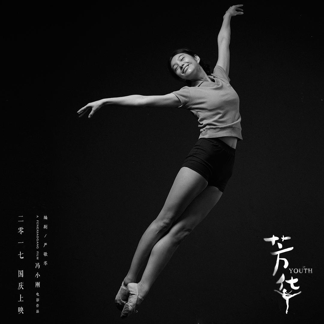 对于无法可说的芳华我有话说