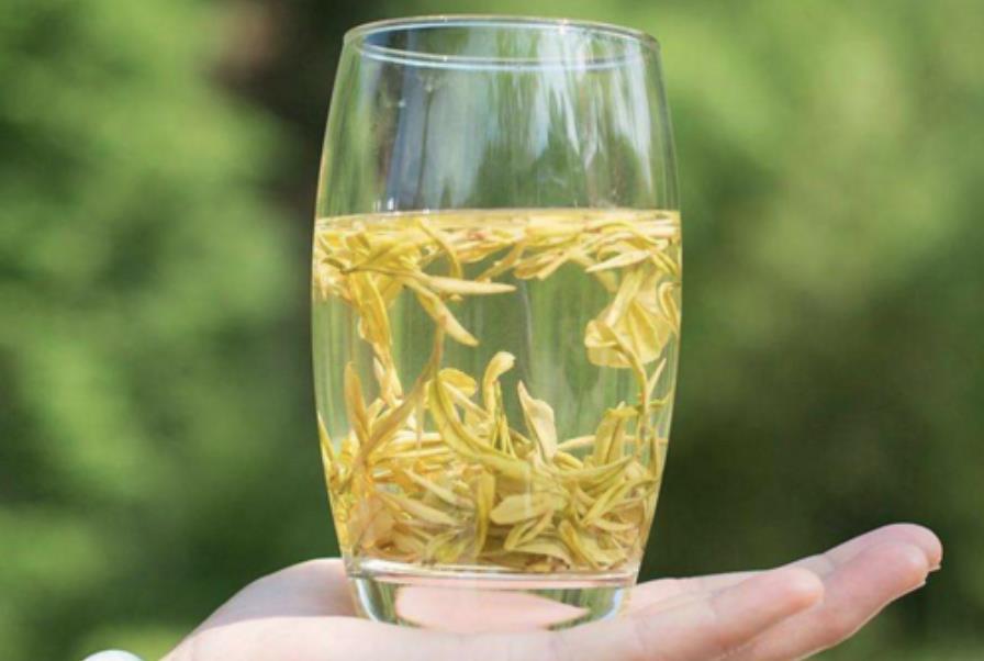 夏季有什么推荐喝的茶?