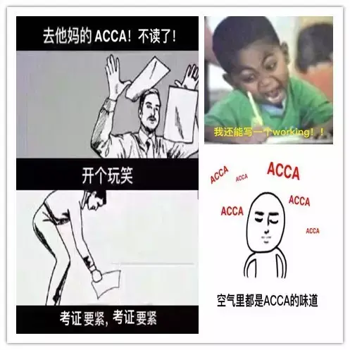 表情包三连外做了套accaer专用的送给大家hhh考来考去的大家差不多都