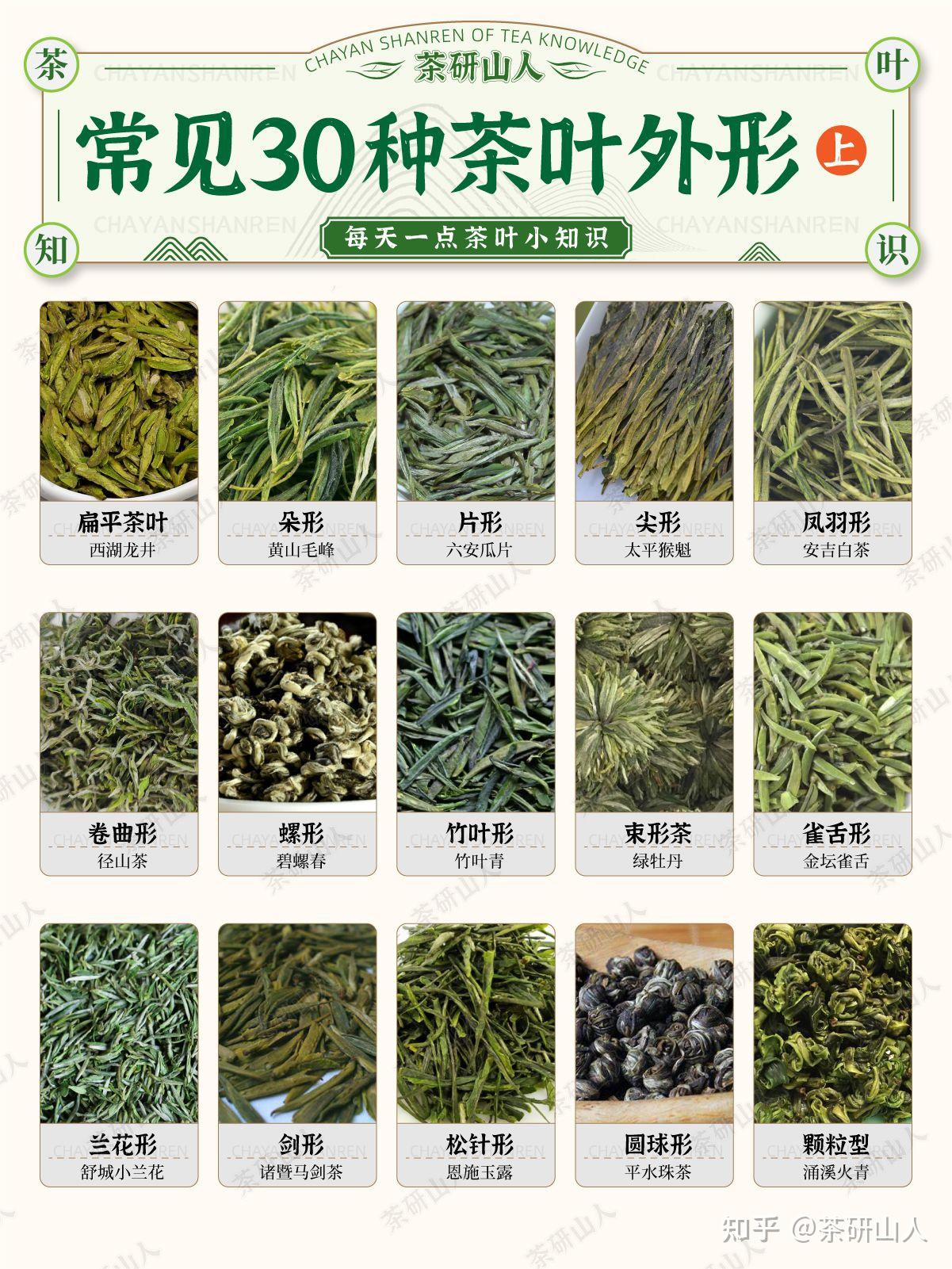 30多种茶叶外形,你认识哪一种? - 知乎